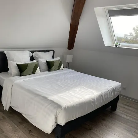 Les Rives Des Habsbourg Aparthotel 4*