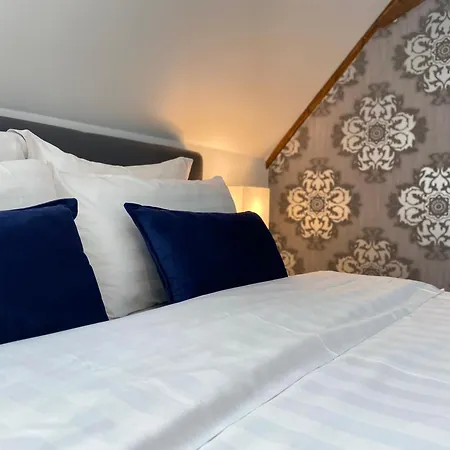 Les Rives Des Habsbourg 4* Ensisheim