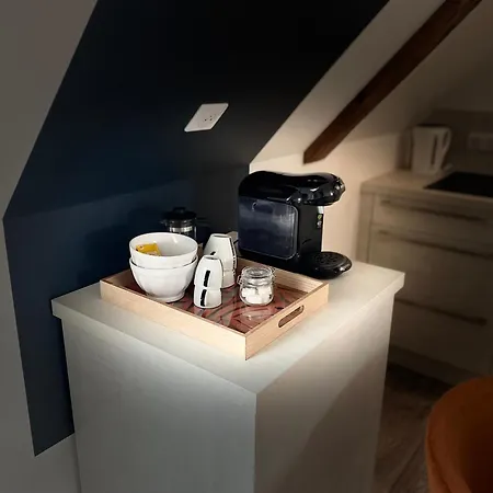 Les Rives Des Habsbourg Ensisheim