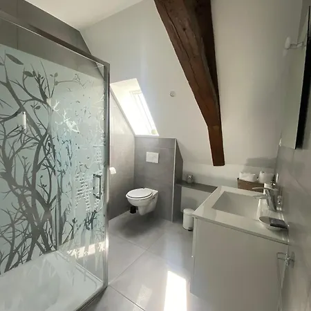 Les Rives Des Habsbourg Ensisheim