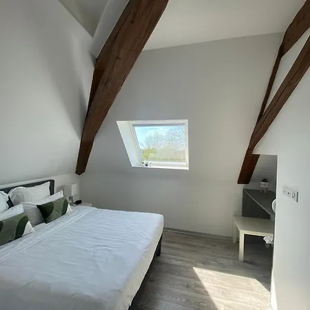 Les Rives Des Habsbourg 4* Ensisheim