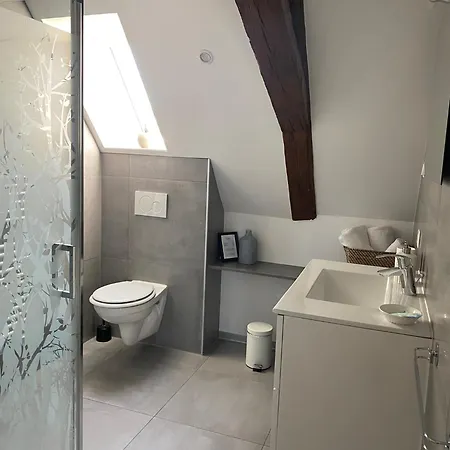 Les Rives Des Habsbourg 4* Ensisheim