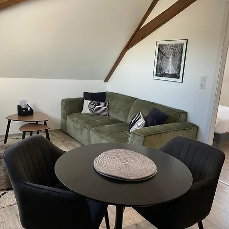 Les Rives Des Habsbourg Apartamento Ensisheim