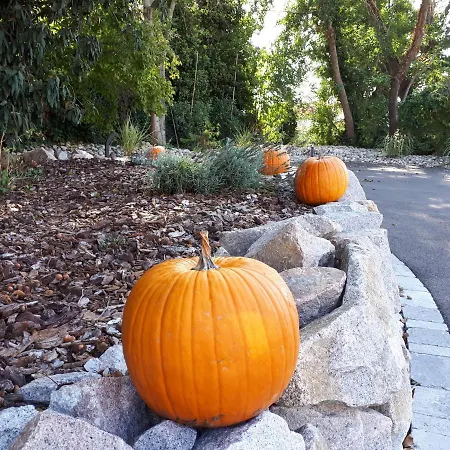 Apart-hotel Les Rives Des Habsbourg