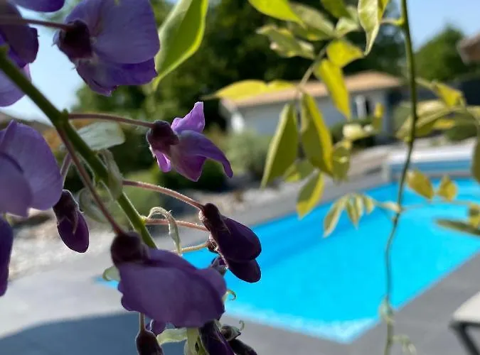 Les Rives Des Habsbourg