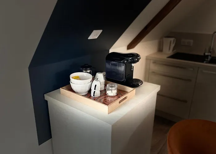 Les Rives Des Habsbourg Ensisheim