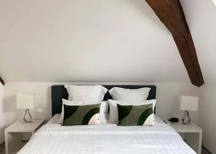 Les Rives Des Habsbourg Aparthotel 4*