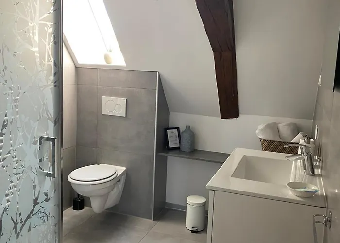 Les Rives Des Habsbourg 4* Ensisheim