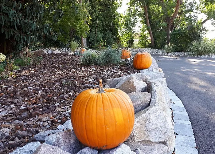 Aparthotel Les Rives Des Habsbourg